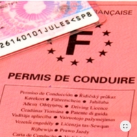 Driving licence translation 