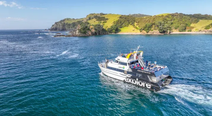 Croisière vers Hole in the Rock | Bay of Islands