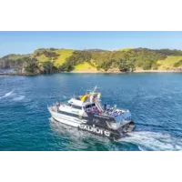 Hole in the Rock Cruise | Bay of Islands