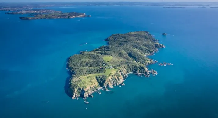 Visite de Tiritiri Matangi - Auckland