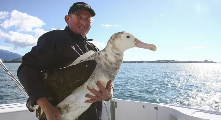 Albatross Encounter à Kaikoura
