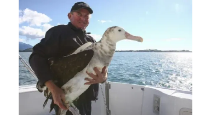 Albatross Encounter à Kaikoura
