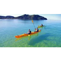 Abel Tasman Kayak, Seals & Cruise Tour