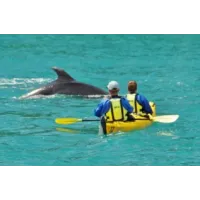 Discover Day - Abel Tasman