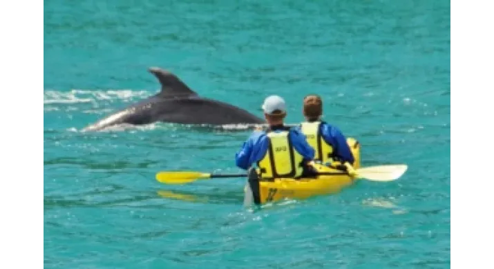 Journée Découverte d'Abel Tasman