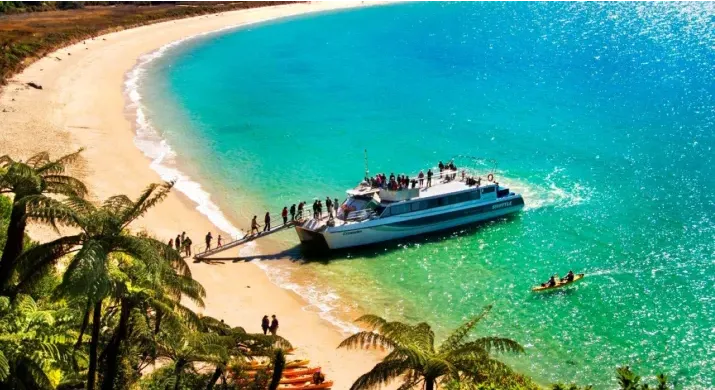Discover Day - Abel Tasman