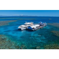 Cairns - Découvrez la grande barrière de corail à Moore - journée entière