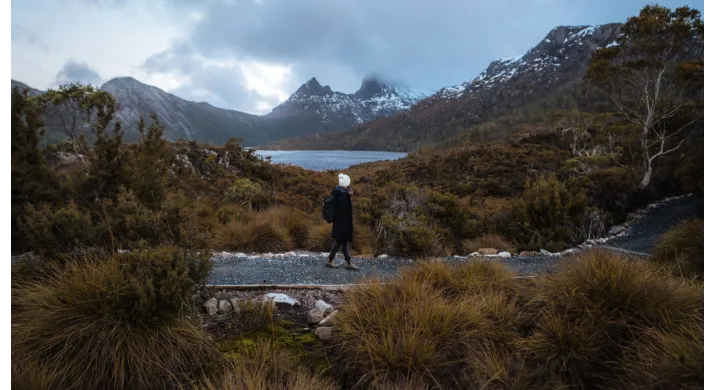 Tour a la demi-journée du parc National de Cradle Mountain