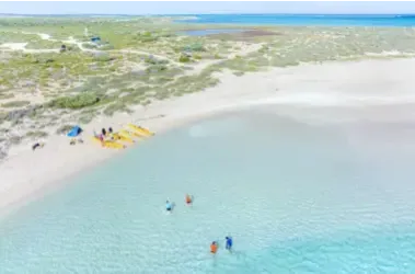Les 5 plus belles plages en Australie