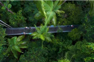 Cairns - Australie : Le guide complet - Detour Voyage