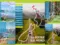 Itinéraires Nouvelle Zélande