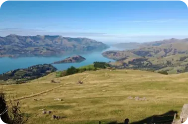 Types of campground in New Zealand