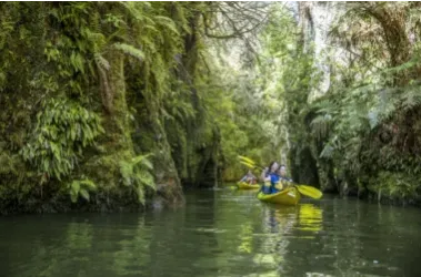 Guides about New Zealand