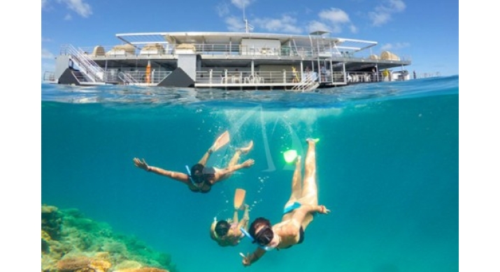 Airlie Beach - Découverte de la Grande Barrière de Corail