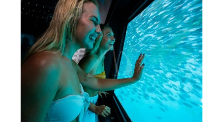 Airlie Beach - Découverte de la Grande Barrière de Corail
