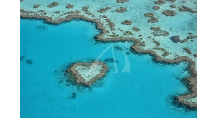 Airlie Beach - Découverte de la Grande Barrière de Corail