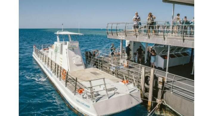 Airlie Beach - Découverte de la Grande Barrière de Corail