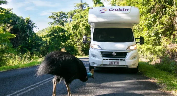 Cruisin Adventurer - 4 couchages