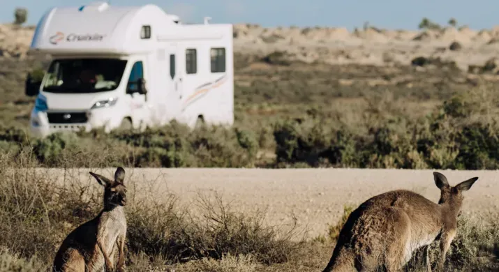 Cruisin Deluxe - 4 couchages