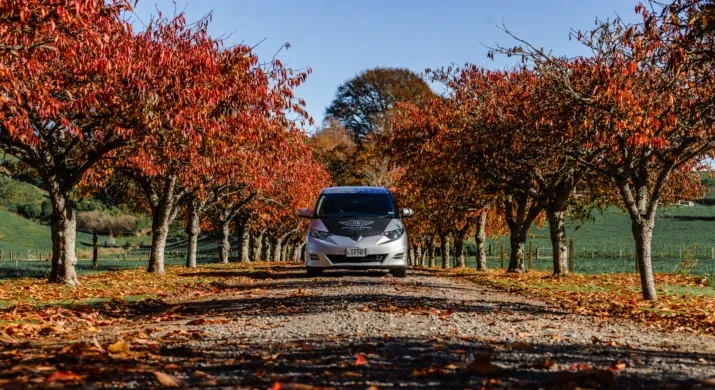 Spaceships Dream Sleeper Mini