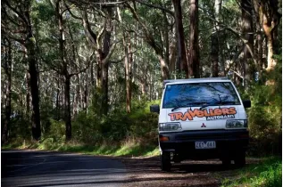 Budgie Van
