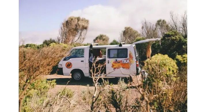 Budgie Van