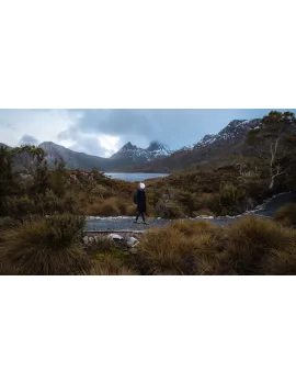 Tour a la demi-journée du parc National de Cradle Mountain