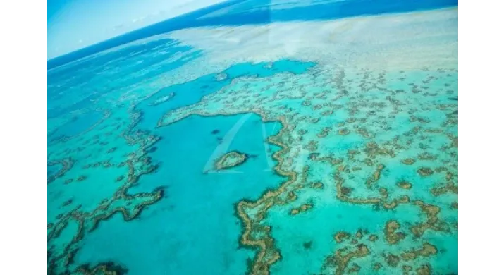 Airlie Beach - Découverte de la Grande Barrière de Corail