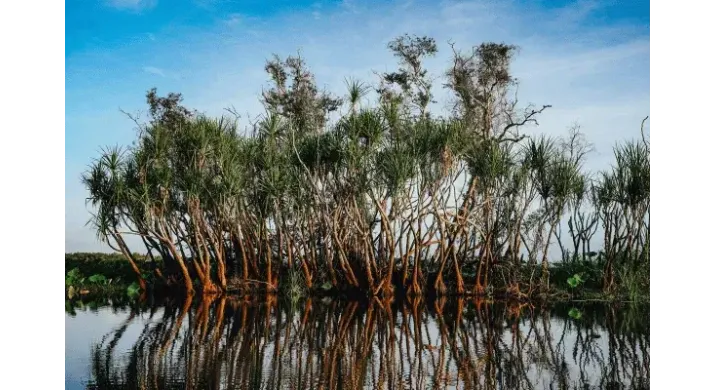 Kakadu National Park - Excursion une journée à partir de Darwin