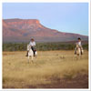 flinders-range flinders-range