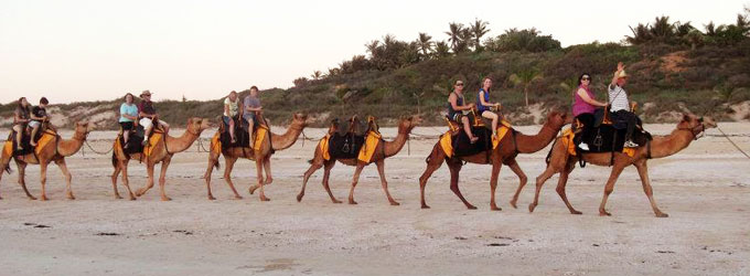 Broome-Camels Broome-Camels